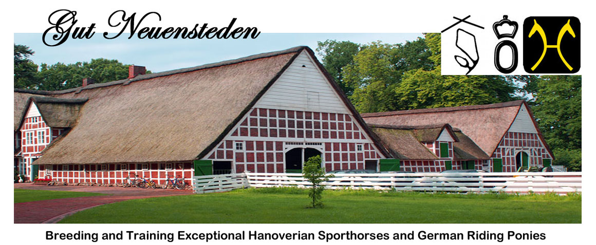 Gut Neuensteden - Hanoverian Breeding Farm